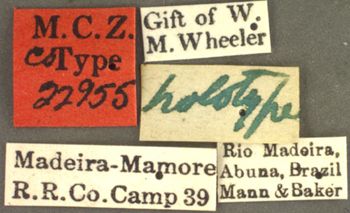 Media type: image; Entomology 22955   Aspect: labels